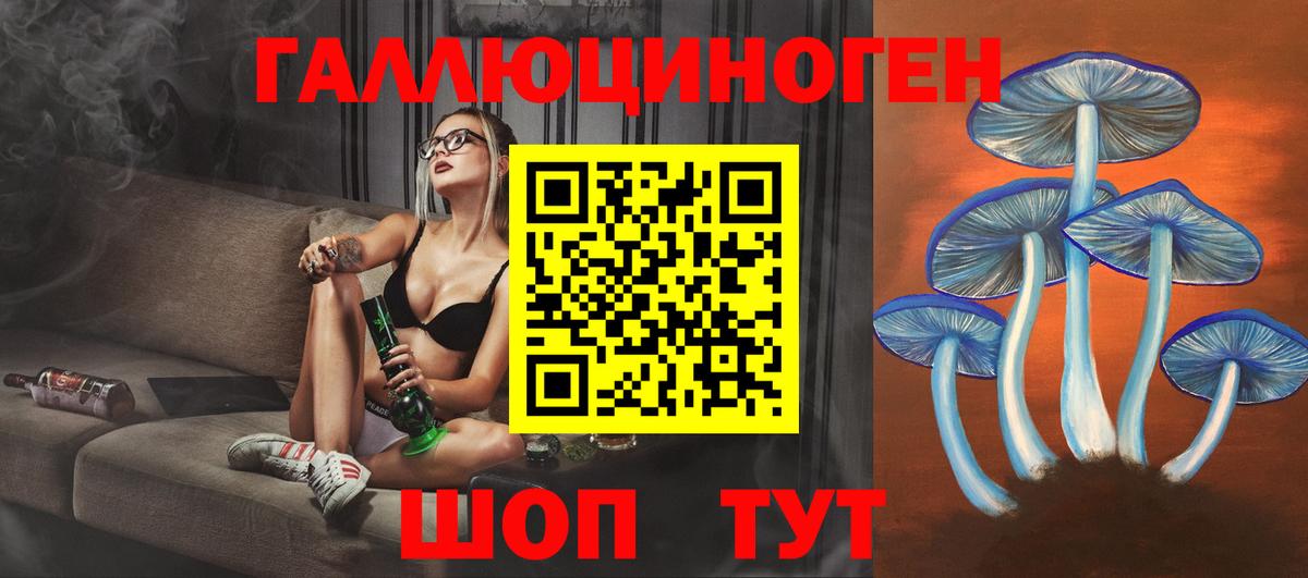 Сокол  Галлюциногенные грибы MAGIC MUSHROOMS  Вход с VPN  Псилоцибиновые грибы Cubensis 